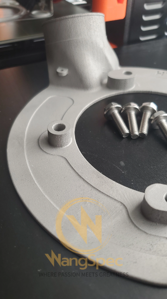 WangSpec Front Brake Duct Shields (Pair) - Toyota JZA80 Supra / Z30 Soarer (SC300)